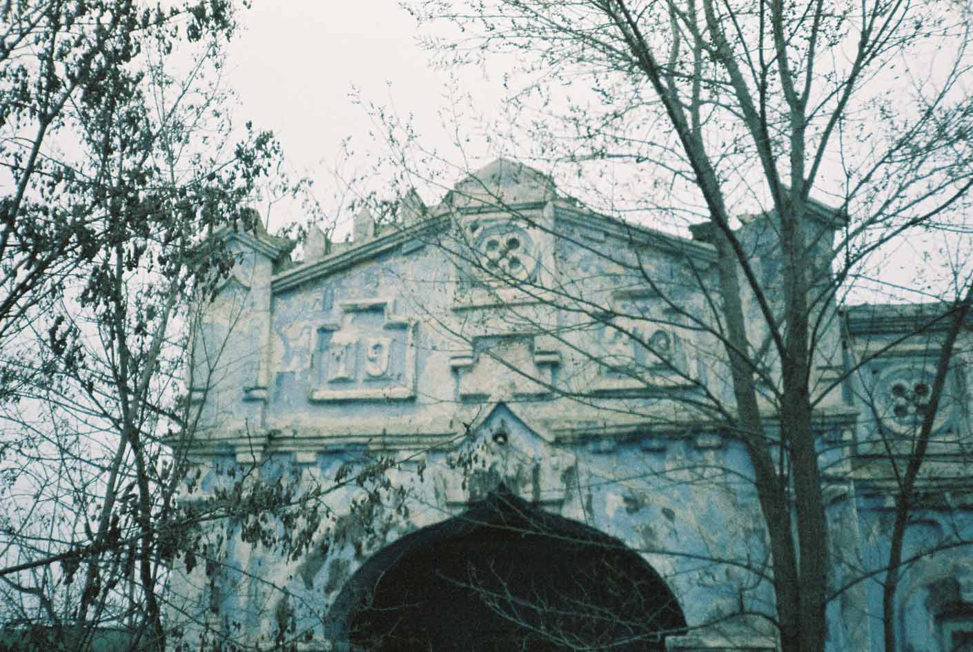 Roots ruins and memory